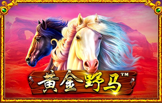 kaiyun体育手机版登陆官网